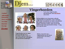 Tablet Screenshot of djem.nl